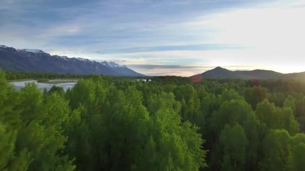 Вид Дрон Вершин Дерев Гір Річки — стокове відео