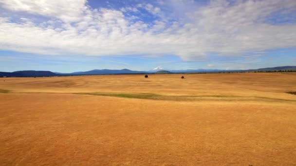 Drohnenaufnahme Der Oregonischen Naturlandschaft Durch Berge Unter Blauem Himmel — Stockvideo