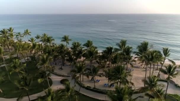 飞越海滩椅子棕榈树热带海洋度假胜地无人驾驶飞机 — 图库视频影像