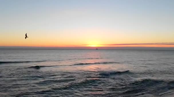 夕阳西下时飞越海滩的空中无人驾驶飞机 — 图库视频影像