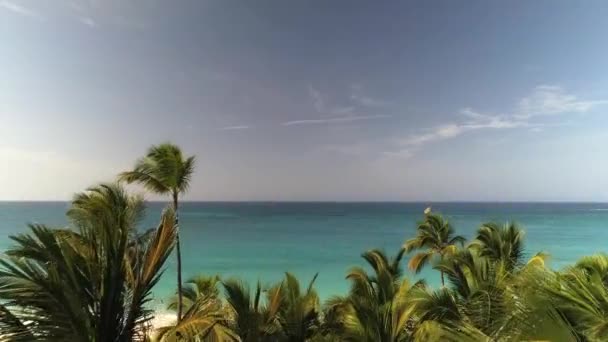 Sobrevoando Resort Tropical Praia Drone Aéreo Paisagem Oceano Aves — Vídeo de Stock