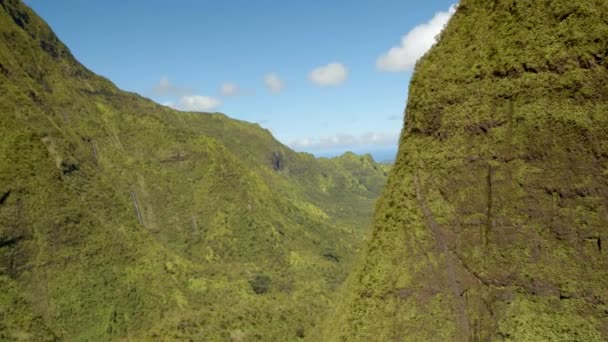 Flying Kauai Island Mountains Hawaii Aerial — Stock Video