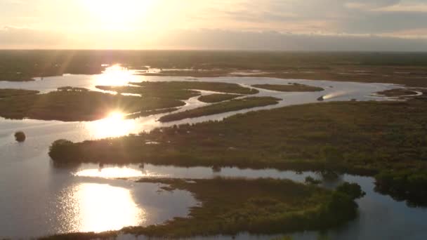 ใบม งดงาม Everglades สระว ายน พระอาท ตกโดรนทางอากาศฟลอร — วีดีโอสต็อก