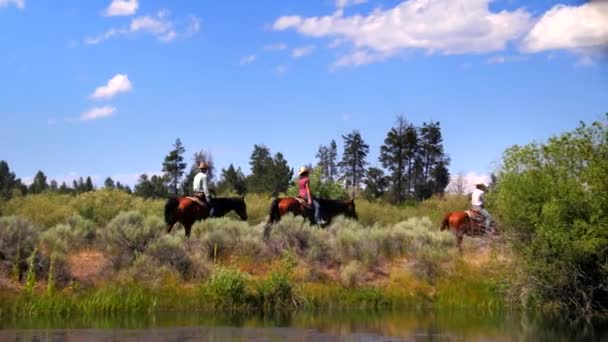 Grupo Pessoas Montam Cavalos Longo Trilha Montanhosa Água — Vídeo de Stock