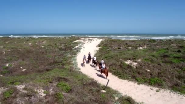 Gruppe Reitet Pferde Über Sand — Stockvideo