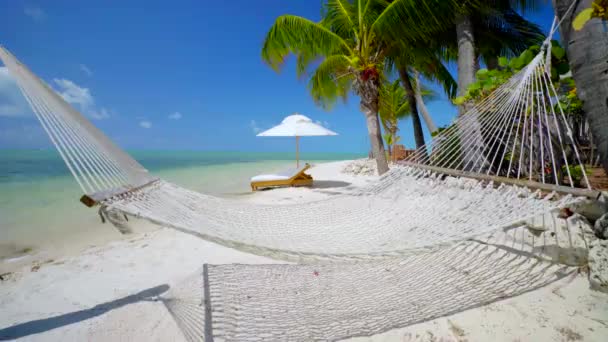 Hamaca Sillas Playa Playa Tropical — Vídeo de stock