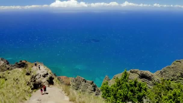 Caminhantes Havaiano Montanha Penhasco Kauai Ilha Drone Aéreo — Vídeo de Stock