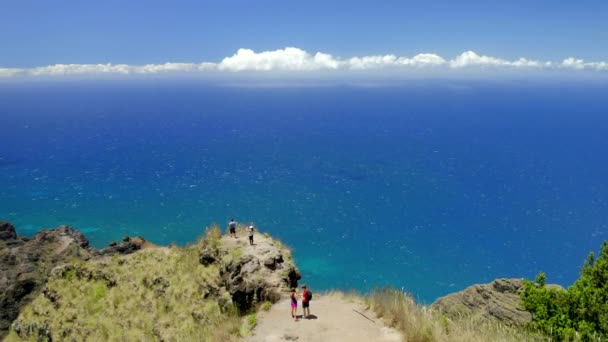 Hikers Hawaiian Mountain Cliff Kauai Island Aerial Drone — Stock Video