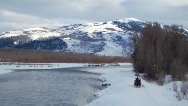 Pferd Und Kutsche Folgen Hund Neben Fluss Und Schneebedeckten Bergen — Stockvideo