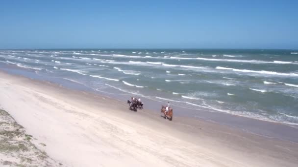 Montar Caballo Largo Las Olas Playa — Vídeo de stock