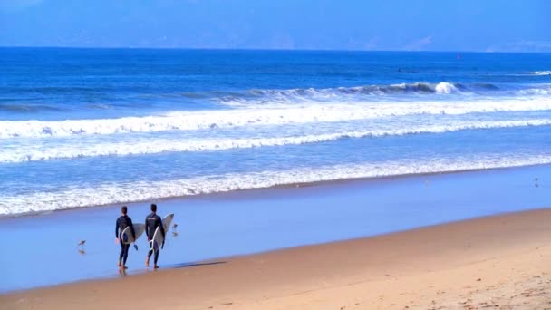 Nanılmaz Manzara Gün Batımında Yürüyen Iki Sörfçü Yavaş Çekim — Stok video