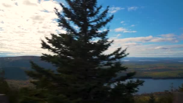 Incroyable Chaîne Montagnes Conduisant Long Route Forestière — Video