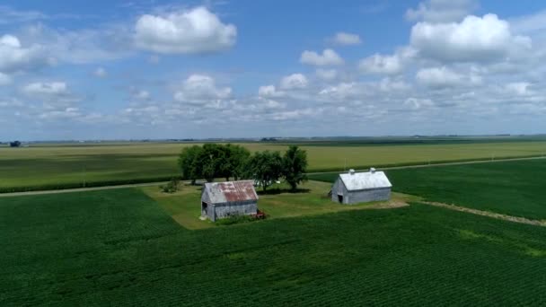 Video Von Indiana Country Farmland — Stockvideo