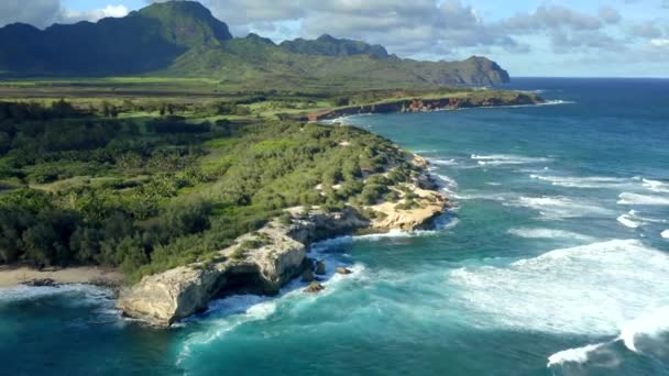 Kauai Coast Shipwreck Beach Hawaii Aerial Drone — стоковое видео