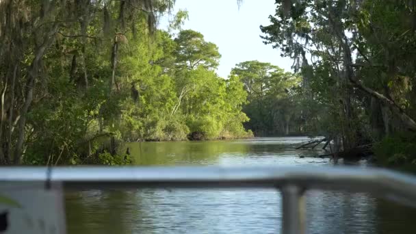 Louisiana Bayou Vista Frente Barco — Vídeo de Stock