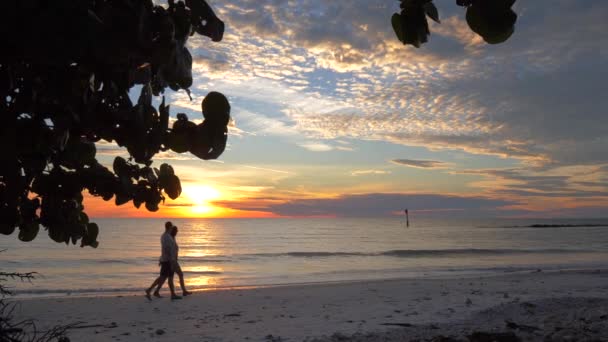新婚夫妇在日落时分一起在海滩散步慢动作度蜜月 — 图库视频影像