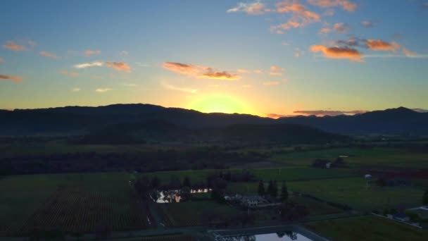 Виноградник Долини Заході Сонця Повітряним Безпілотником — стокове відео