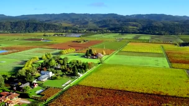 Napa Valley Vineyards Aerial Drone — Stok video