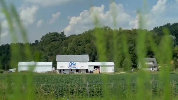 Ohio Feldfrüchte Amish Land — Stockvideo