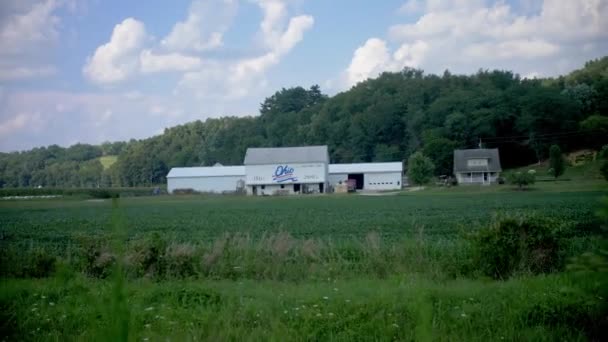 Ohio Cultivos Agrícolas País Amish — Vídeo de stock