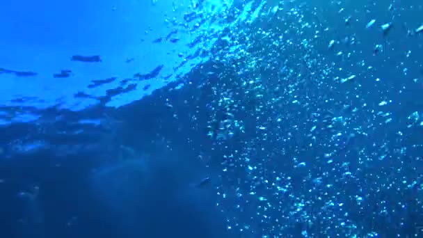 Bolhas Oceânicas Subindo Para Superfície Oxigênio Scuba Movimento Lento Subaquático — Vídeo de Stock