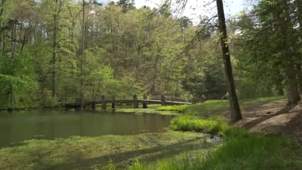 Old Bridge Beautiful Forest Landscape Slow Motion — Stock Video