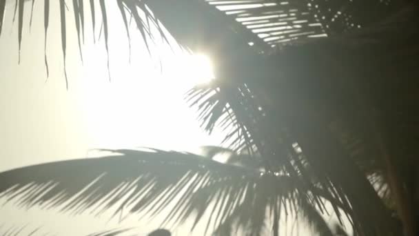 Palmbomen Bij Zonsondergang Strand Slow Motion Filmische Opname — Stockvideo