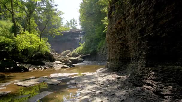 Peaceful Hidden Stream Forest — Stok video
