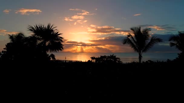 Perfect Sunset Infinity Pool Palm Trees Slow Motion Aerial Drone — ストック動画