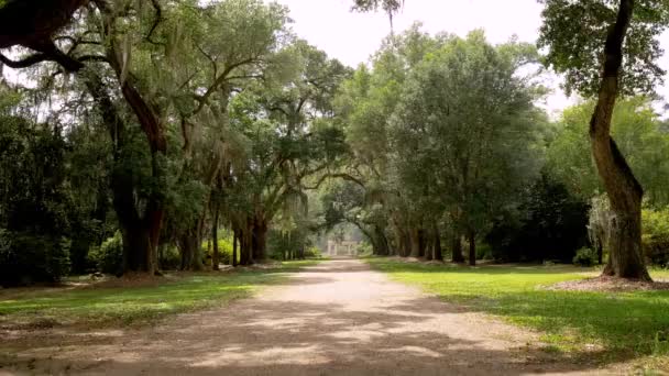 Plantation Driveway Baton Rouge — Stok video