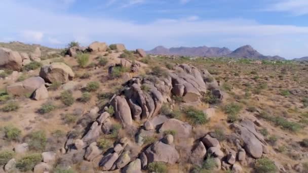 Горные Породы Кактусы Пустыне — стоковое видео