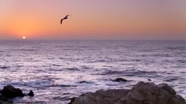 Praia Rochosa Pôr Sol — Vídeo de Stock