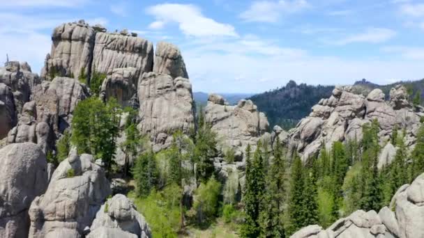 Cañones Rocosos Custer State Park Vista Aérea Drone — Vídeo de stock