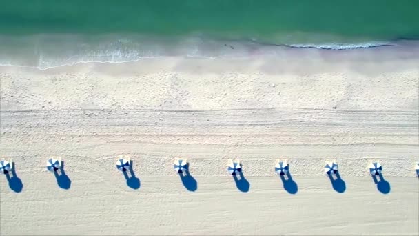 Σειρά Ομπρέλες Στην Παραλία Από Εναέρια Drone — Αρχείο Βίντεο