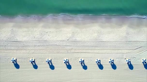 Row Umbrellas Beach Aerial Drone — Stock Video