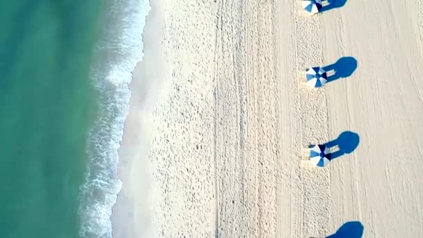 Σειρά Ομπρέλες Στην Παραλία Από Εναέρια Drone — Αρχείο Βίντεο
