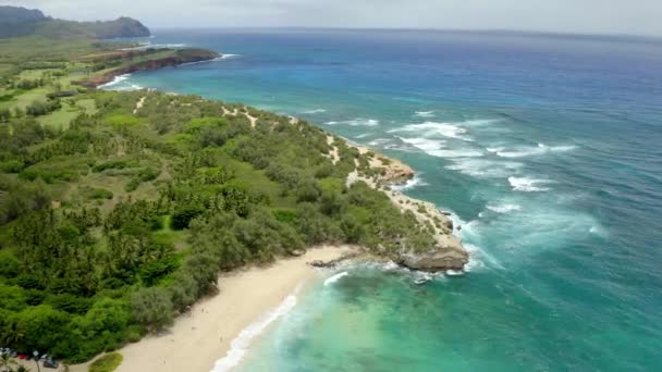 Schipbreuk Strand Kust Door Antenne Drone Kauai Eiland Hawaii — Stockvideo