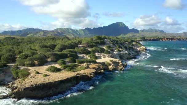 Toeristen Schipbreuk Strand Hawaii Door Antenne Drone — Stockvideo