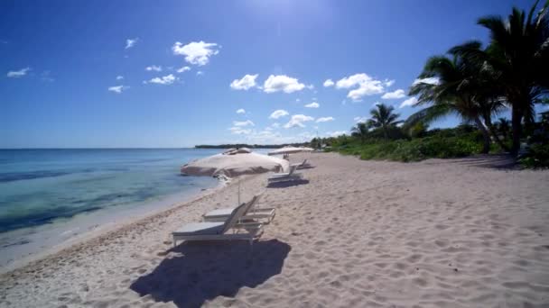 Esernyők Székek Tengerparton Tulum — Stock videók