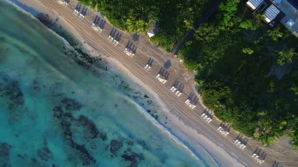 Ombrelloni Allineati Sulla Spiaggia Tulum Drone Aereo — Video Stock