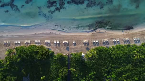 Umbrellas Lined Beach Tulum Aerial Drone — Stock Video