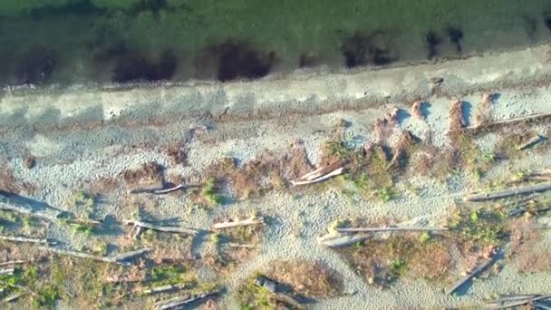 Vancouver Island Beach Aerial Drone — Stok video