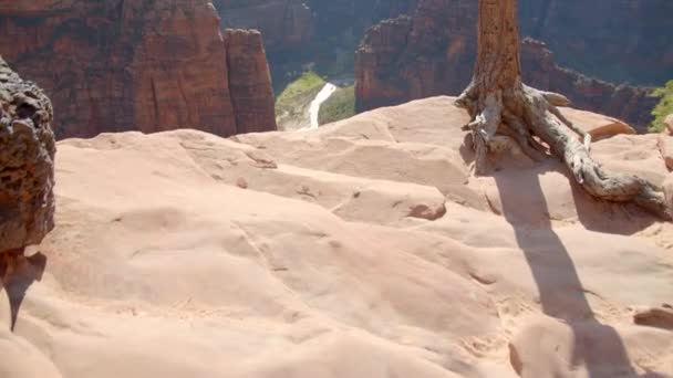 View Top Zion National Park Canyon Handheld View — Stok video