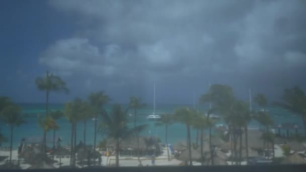 Θέα Της Παραλίας Του Ωκεανού Φοίνικες Από Μπαλκόνι Τροπικό Θέρετρο — Αρχείο Βίντεο