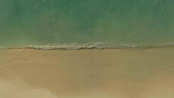Waves Crashing Tropical Beach Aerial Drone — Stock Video