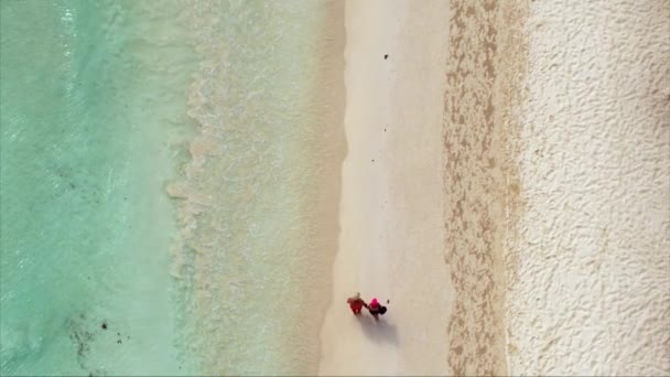 White Sand Beaches Tulum Mexico Aerial Drone — ストック動画