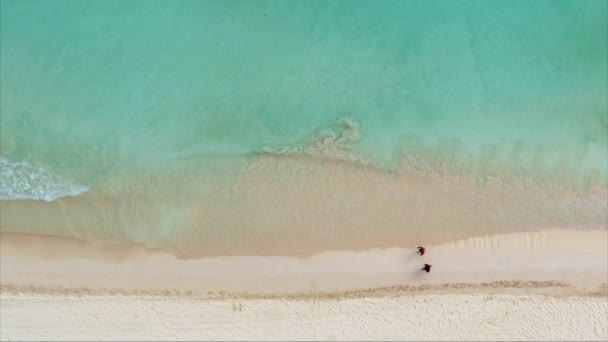 Bílé Písečné Pláže Tulum Mexico Leteckým Dronem — Stock video