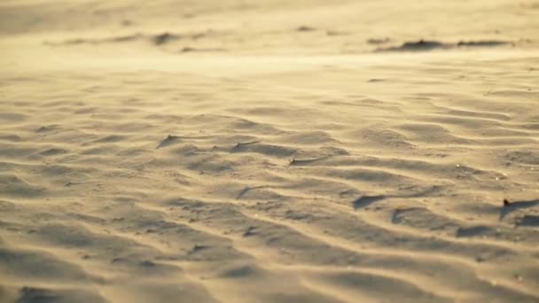 Viento Soplando Sobre Arena Atardecer Seguimiento Disparo — Vídeos de Stock