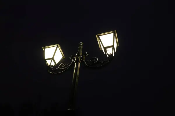 Geceleri Fener Ağaç Dallarını Aydınlatır — Stok fotoğraf
