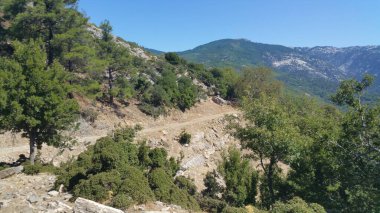 Tepeleri aşan yol, dağlardaki yeşil orman.